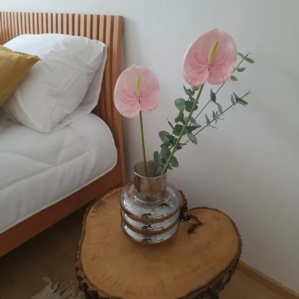 Porvoo Central Apartment,位于波尔沃的酒店