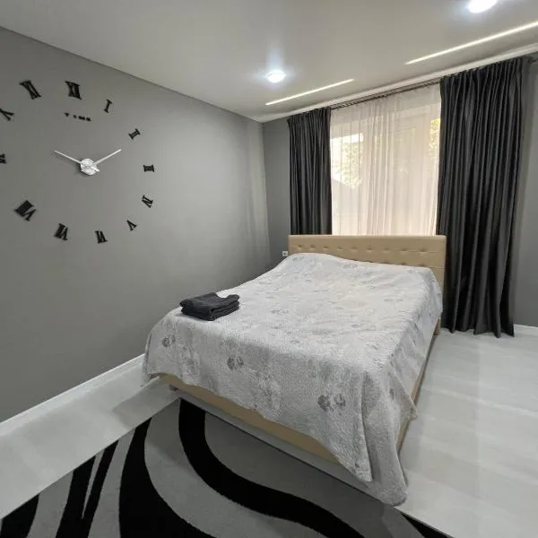 Apartament Edinet-единец，位于埃迪内茨的酒店