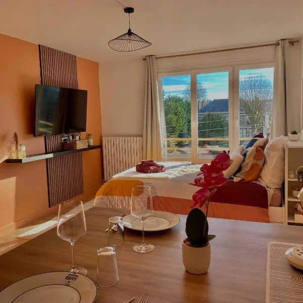 Studio lumineux au cœur d'Evreux，位于埃夫勒的酒店