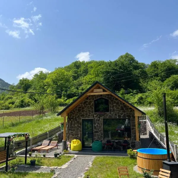 Woodlandia Resort Borjomi，位于博尔若米的酒店