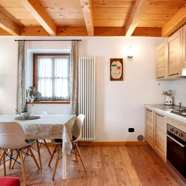 Chalet Dolomiti，位于Sant’Orsola的酒店