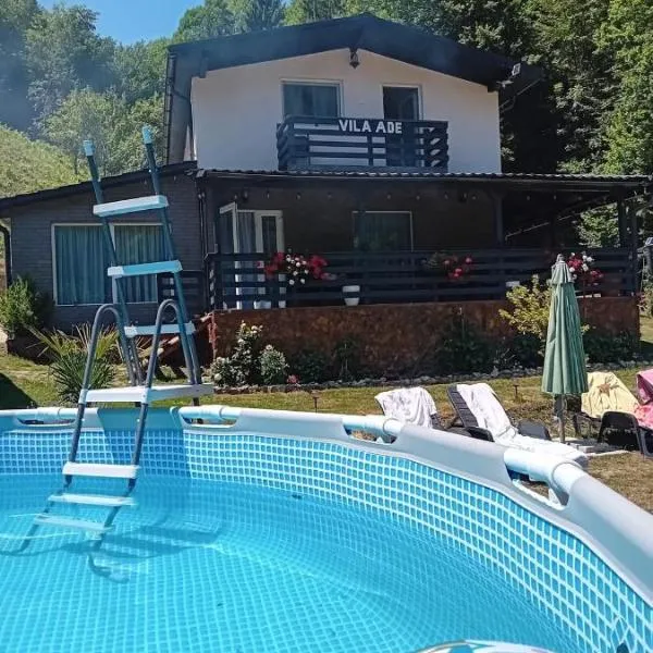 VILA Ade，位于Padeş的酒店
