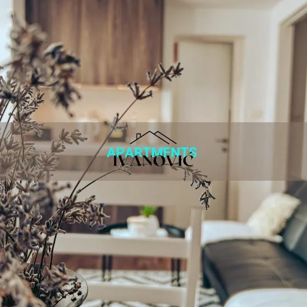 Apartments Ivanović，位于伊德里亚的酒店