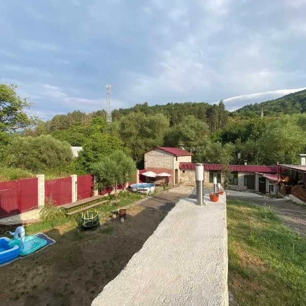 David guest house LOFT Коттеджи на берегу реки，位于迪利然的酒店