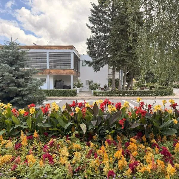 格林别墅酒店，位于斯利亚奇的酒店