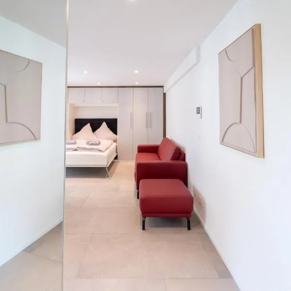 Kunstvolle Wohnung in der Stadt，位于温特图尔的酒店