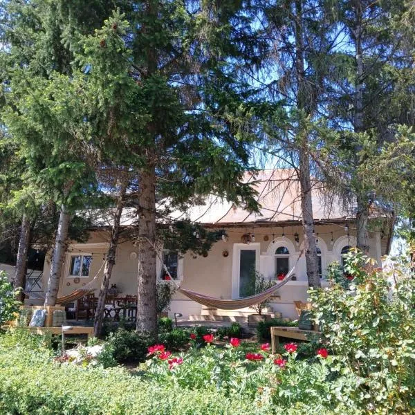 Casa de Vacanta Nora，位于Oveselu的酒店