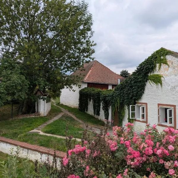Chaloupka u Mostu sv Jana v centru Vodňan，位于Vodňany的酒店