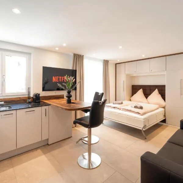 Gepflegte Wohnung im Kanton Zürich!，位于温特图尔的酒店