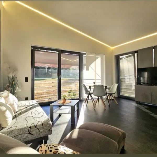 Stadt und See Nahes Appartment，位于克拉根福的酒店