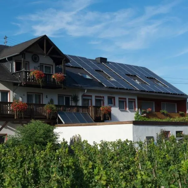 Ferienwohnung und Gästezimmer Reis-Kohl，位于梅灵的酒店