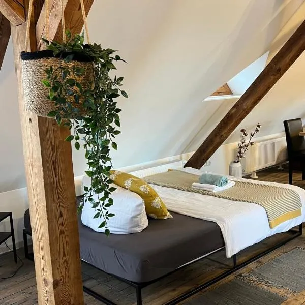 Black Billard l Loft für 2-5 Personen l Wohlfühlen in Altstadtnähe，位于兰茨胡特的酒店