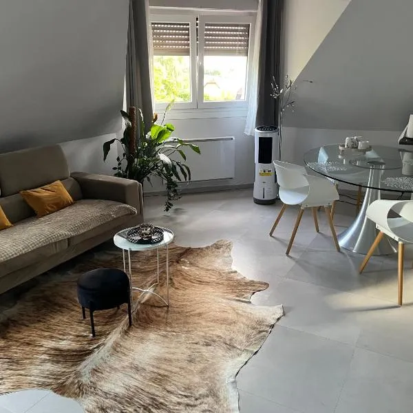 Studio Strasbourg，位于Niederhausbergen的酒店