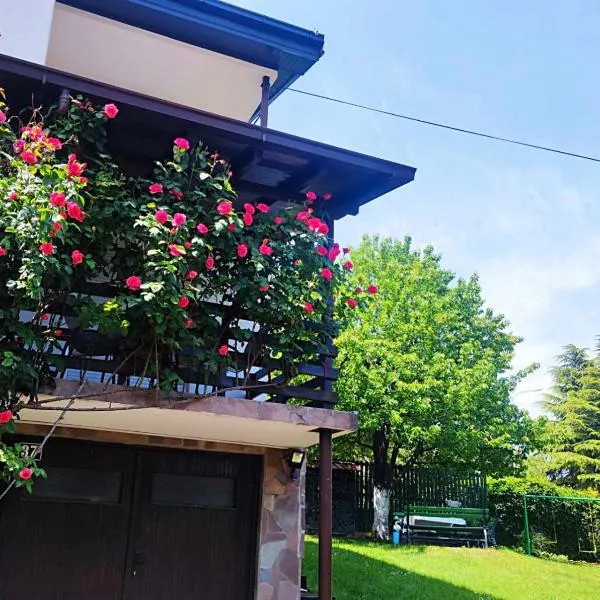 ZNK Family House，位于斯科普里的酒店