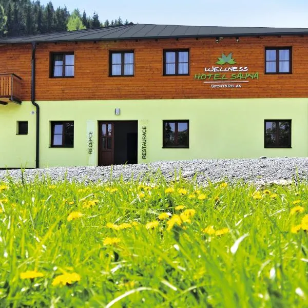 桑拿疗养酒店 ，位于Svetla Hora的酒店