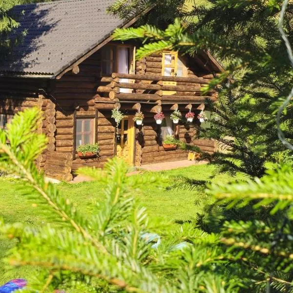 Cabana Daria Arieseni，位于阿列谢尼的酒店