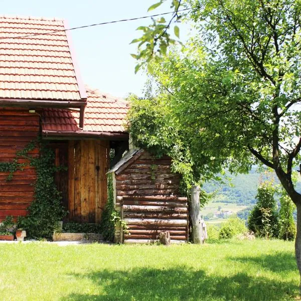 Visoko Gorani Cottage，位于Deževice的酒店