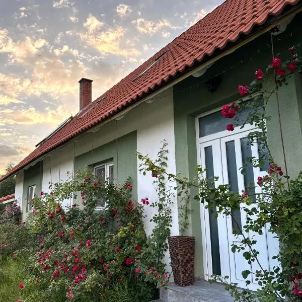 Villa Viktória,位于Lunca de Sus的酒店