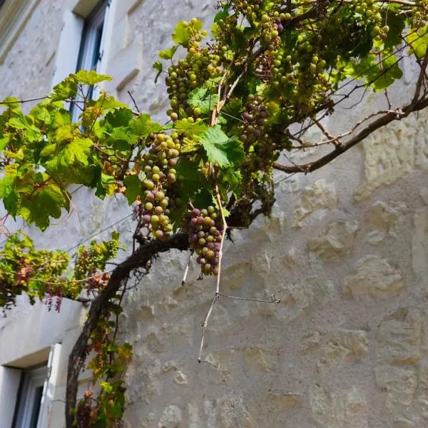 Les Chambres de Nelly，位于Cravant-les-Coteaux的酒店