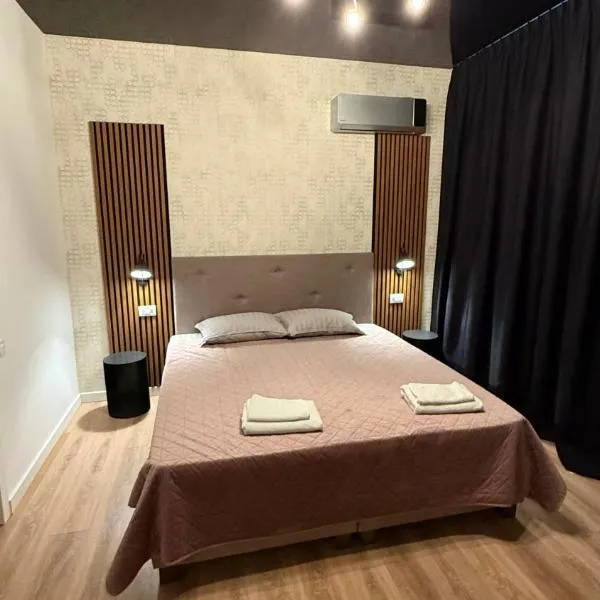 Cozy Studios Barlad，位于Bîrlad的酒店