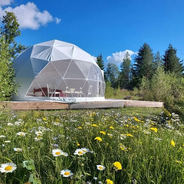 Bubble House glamping telk，位于Sõmeru的酒店