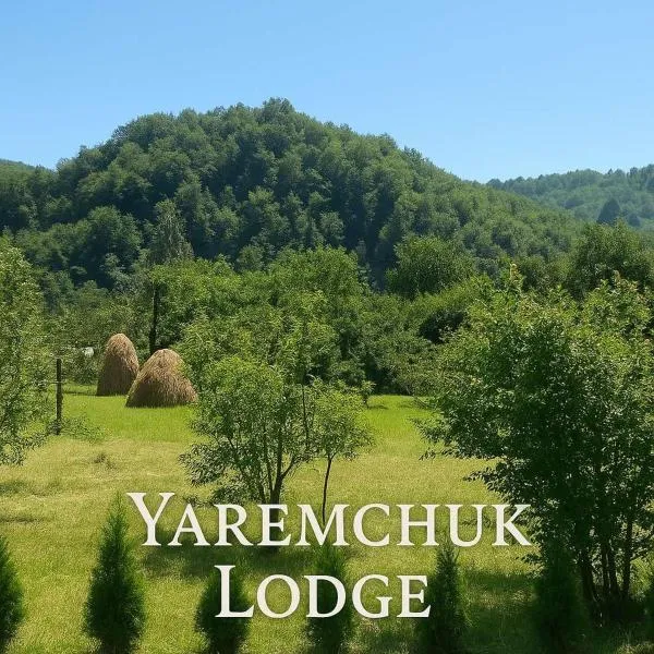 Yaremchuk lodge，位于Tyudiv的酒店