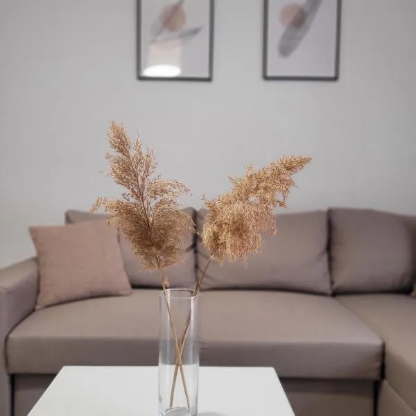 Center River Apartment，位于弗洛里纳的酒店