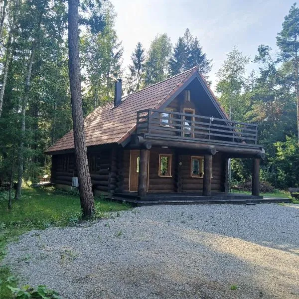 Rooslepa puhkemaja，位于Tuksi的酒店