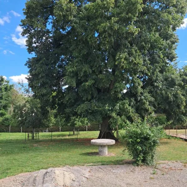 chez Denis，位于Pont-d'Ouilly的酒店