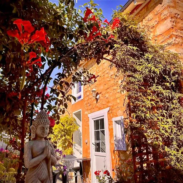 Maison cocooning，位于沙托鲁的酒店