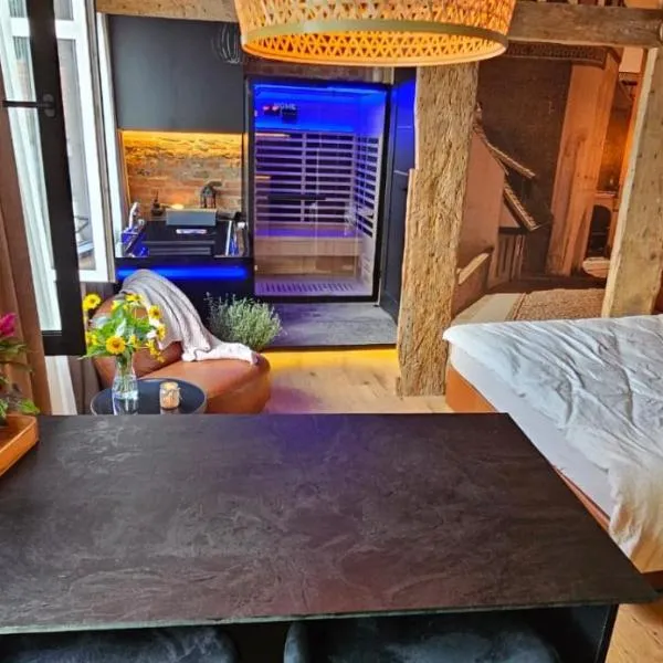 Apartament Przy Murach，位于托伦的酒店