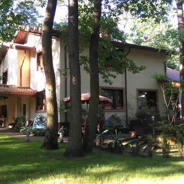 Villa Podkowa，位于Podkowa Leśna的酒店
