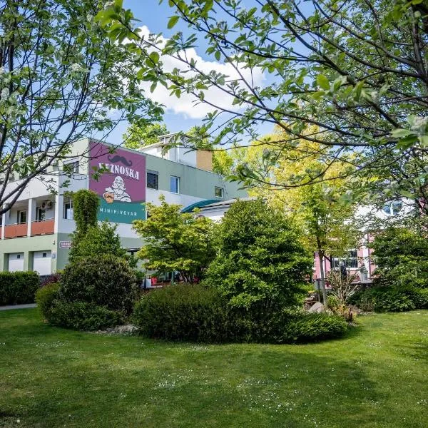 Penzion Školička，位于布拉格的酒店