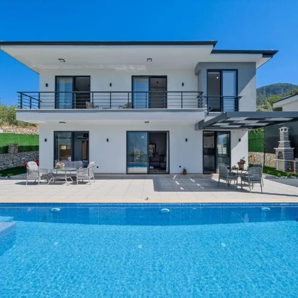 Villa DeFnE Fethiye，位于费特希耶的酒店
