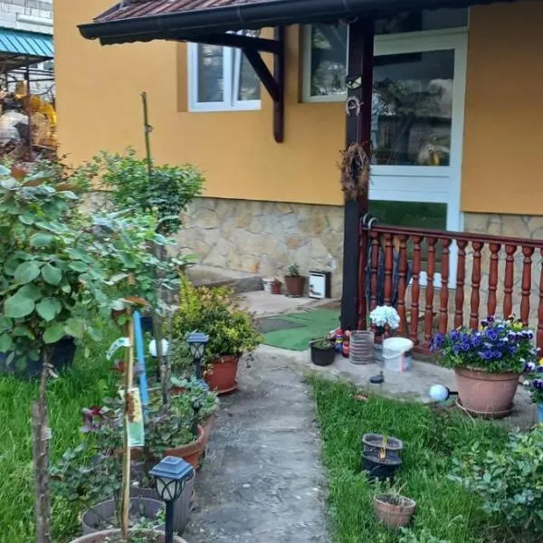 Smeštaj Nikolić，位于Arilje的酒店