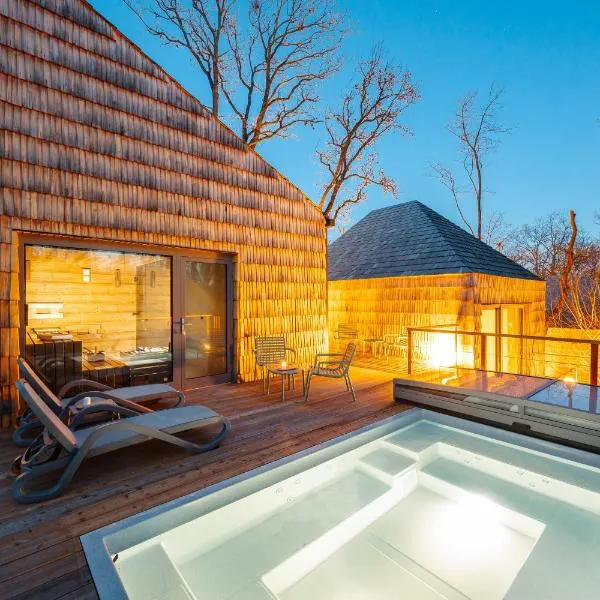 Pazar Homes，位于赞考的酒店