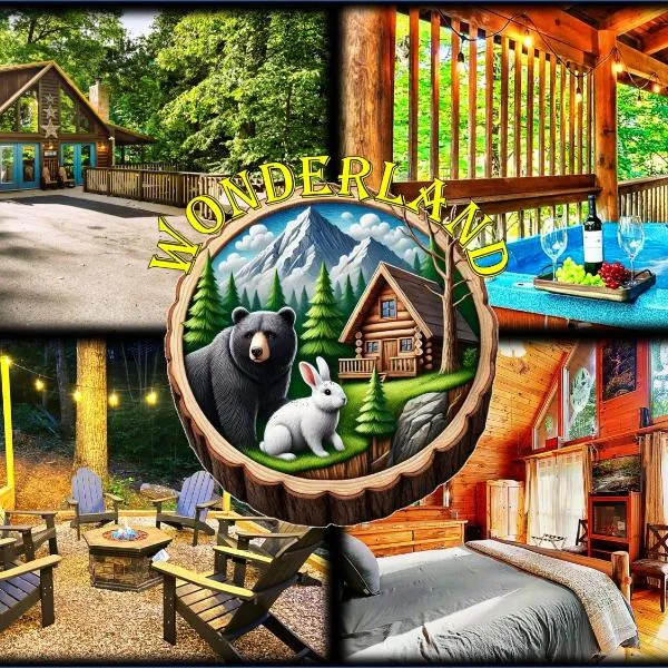 Wonderland Cabin，位于赛维尔维尔的酒店