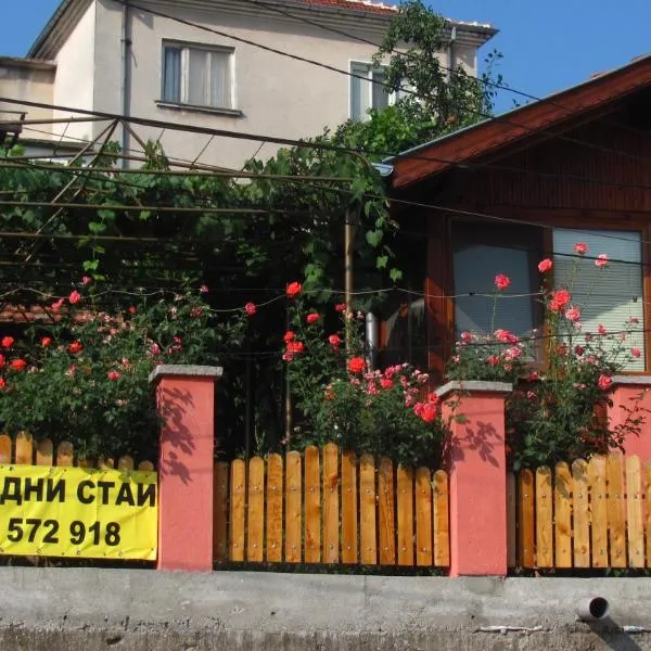Guesthouse Elena，位于Granitovo的酒店