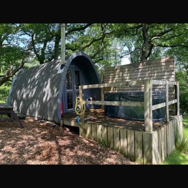 Willow Cabin & Hot Tub，位于巴茅思的酒店