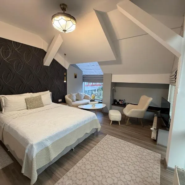 Hotel Maria，位于勒德乌齐的酒店