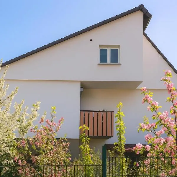 Mc Garry Apartments and Garden，位于巴特克罗青根的酒店