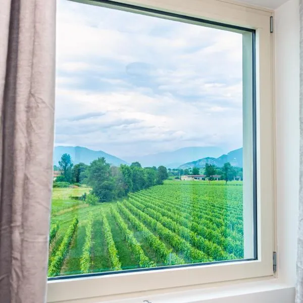 Casa Vacanza Dany in Franciacorta Vista Vigneti，位于阿德罗的酒店