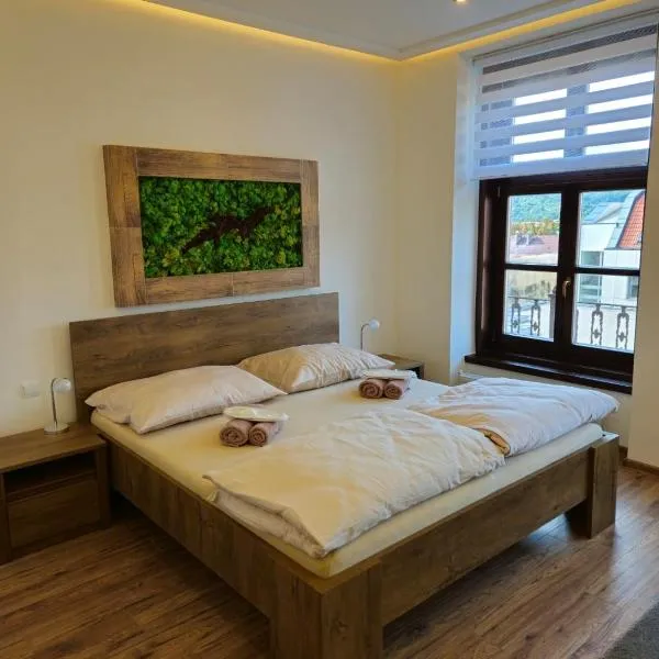 Apartmány NATIVE，位于普雷绍夫的酒店