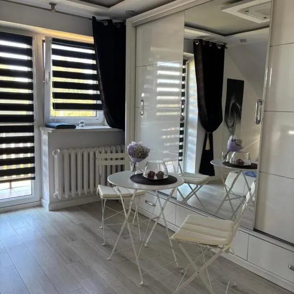 Rooms near Balice airport，位于Cholerzyn的酒店