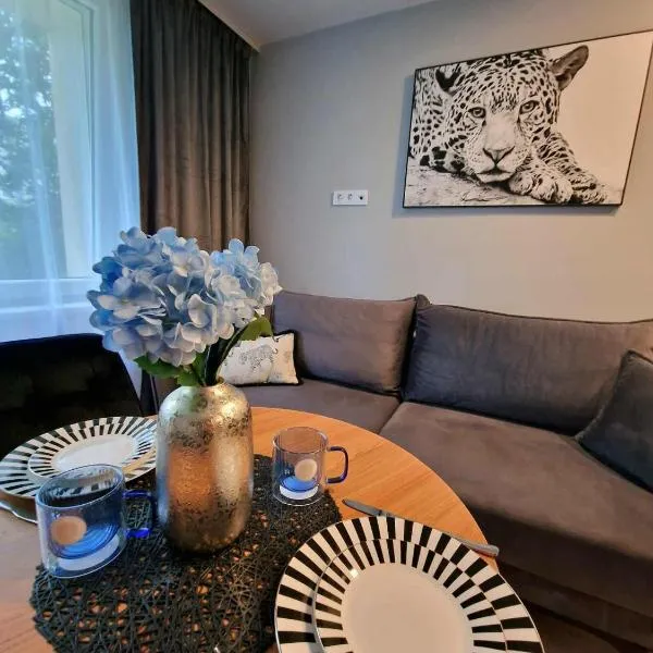 Trumpalaikė buto nuoma Plungėje STUDIJA C，位于普伦盖的酒店