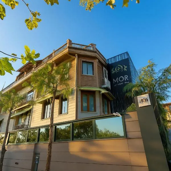 Magia Hotel - Spa & Wellness，位于阿瓦西拉尔的酒店