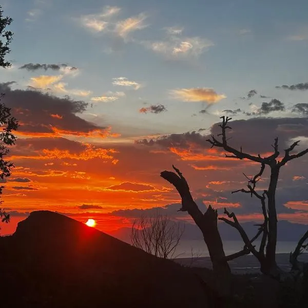 Antica Dimora，位于Trentinara的酒店