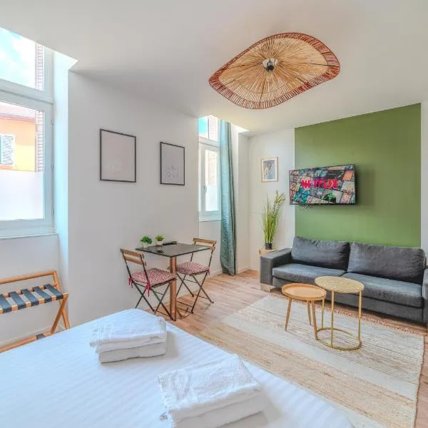 Iris Parking & Clim - Roanne centre-ville，位于罗阿纳的酒店