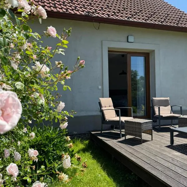 Apartmány u řeky Nežárky，位于Lásenice的酒店