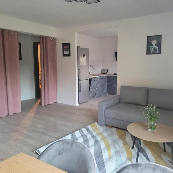 Tauralaukis Forest & Terrace，位于梅尔尼拉杰的酒店